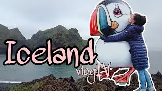 Iceland Adventure | Vestmannaeyjar or Westman Island | Vlog#4
