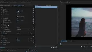 How To Scale A Video To Fit Screen In Premiere Pro