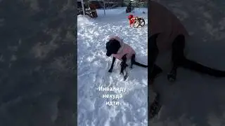 Берри НЕ СОБРАЛИ💔