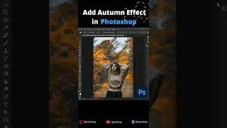 Add Autumn Effect in Photoshop 🔵