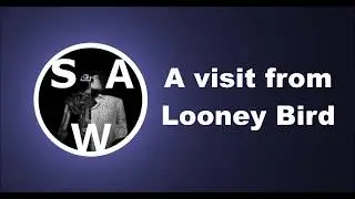 A visit from Looney Bird! [Replica]