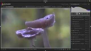 #Darktable wie sind die Macros geworden mit dem 18-55mm?