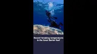 Is the Great Barrier Reef more threatened than ever?