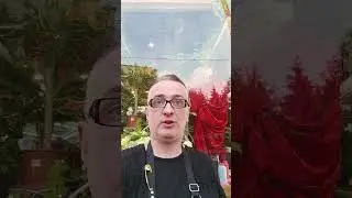 Приглашаю😄