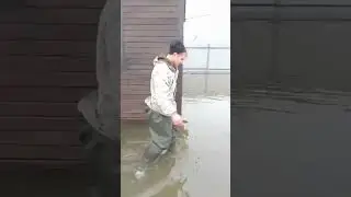 В воде дома и трасса в Ростовской области