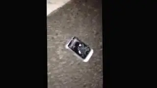 Size 14 Phone stomp