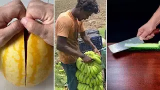 Những Video Triệu View, thõa mãn người xem trên Tik Tok #73 • Best Oddly Satisfying Video