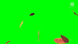 Patte effect HD green screen WhatsApp Twitter Instagram Facebook ke liye image effect background