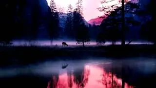 Jimmis - Natural Beauty