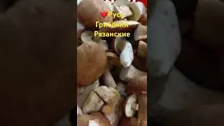 Рязанские грибы 🍄‍🟫  #funghi #porcini #boletus #mushroom #shorts