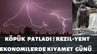 Altının Yoksa Artık Panik İçin Çok Geç Gidirik Oldun!  Peki Şimdi Ne yapmak Gerek ?