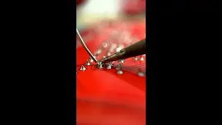 It's all by hand!