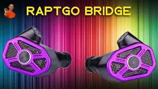 Raptgo Bridge IEM in ear headphones