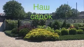 Наш садок. Весна 20.05.2024