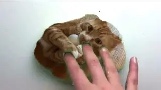 Cat Slime