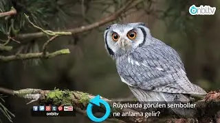 Rüyalarda görülen semboller ne anlama gelir? 