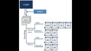 Retrieving Private Key & Certificate from PKCS 12 Format