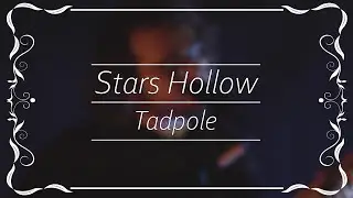 Stars Hollow - Tadpole (S.S.A. Patreon Exclusive)