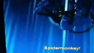 Ben 10 Alien Force Spidermonkey(Arachnichimp) Transformation