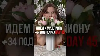 Идем к миллиону подписчиков. День 45 