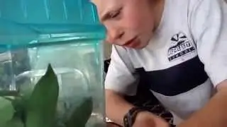 Baytube man eating frog!