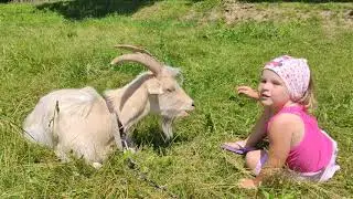 Koziołek - herb miasta Lublin