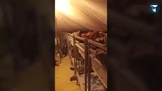 Прибывающие из-за рубежа граждане Туркменистана должны пройти двухнедельный карантин