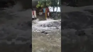 pallikaranai dam🌊 broken 😭😭