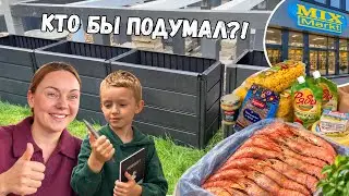 СЫН МЕНЯ УДИВИЛ! 😳 Собираем грядки для террасы + БОЛЬШОЙ ЗАКАЗ из Mix Markt