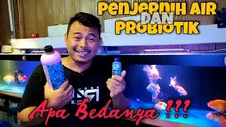 PROBIOTIK VS PENJERNIH AIR - APA BEDANYA ❓❓❓