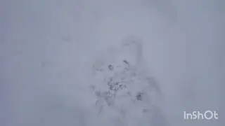 Скучно нічого робить!?!###