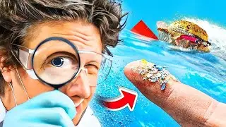 Microplastics in Food Affect the Human Body (+ plastic detox)