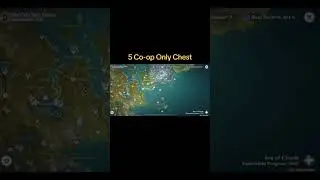 GENSHIN IMPACT : 5 Co-op Only Chest You Should Know 