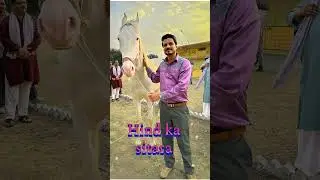 Hind ka sitara #song #music #bollywood #shortsfeed #shorts #panchayat #viral