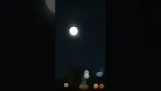 Полнолуние 🌕