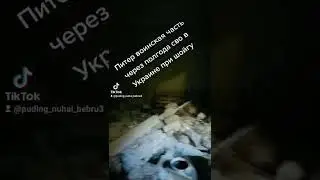 Питер воинская часть через полгода сво в Украине при шойгу