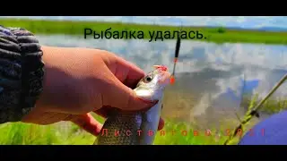 Неожиданный клев леща в Листвягово.