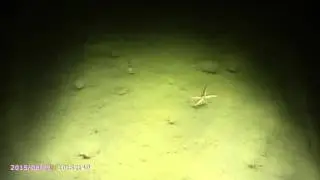 Белое море 6. Сбывшиеся мечты.