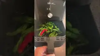 Shishito Peppers in the Air Fryer | Quick & Easy Recipe!