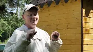 Городецкий апидомик