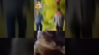 CHIPY CHIPY CHAPA CHAPA. #cat #cats #music #explore #shorts