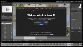 Luminar AI Lightroom Plugins Not Working?