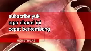 Proses terjadinya kehamilan