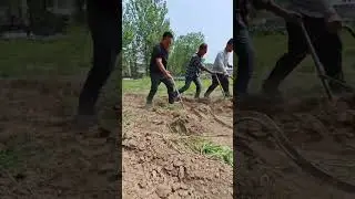 Farmers Plow Fields with Leopard. #BYD Leopard 5 #fangchengbao