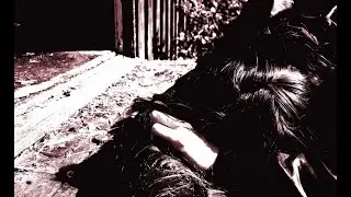 Sleiveen Hostess - Worthless