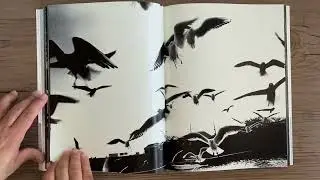 DAIDO MORIYAMA   Erotica : Kyoku