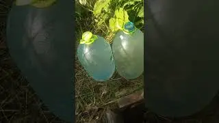 Фестиваль ЖизниГрад 2024(1)