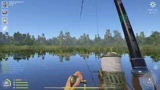 РР4, RF4, Русская рыбалка 4 - Озеро Медвежье, Амур белый, трофейный
