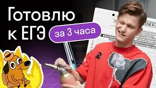 Готовлю к ЕГЭ с нуля за 3 часа препода по информатике