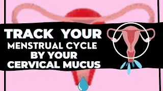 TRACK YOUR CYCLE BY YOUR CERVICAL MUCUS #hormonalimbalance #pregnancy #PCOS #fertility #discharge